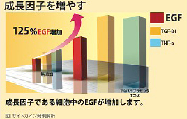Increasing effect of EGF