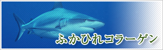 ふかひれコラーゲン