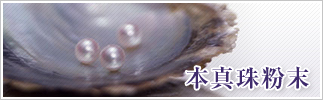 本真珠粉末