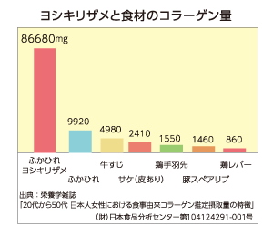 ヨシキリザメと食材のコラーゲン量