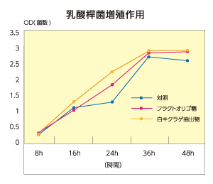乳酸桿菌増殖作用