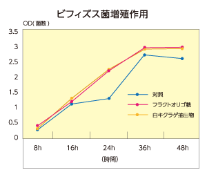 ビフィズス菌増殖作用