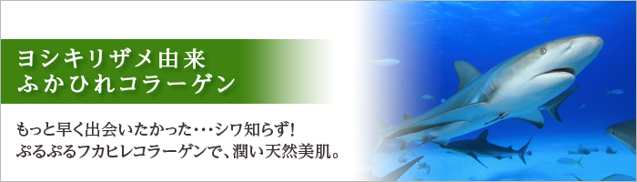 ヨシキリザメ由来ふかひれコラーゲン