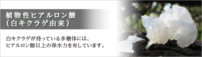 植物性ヒアルロン酸(白キクラゲ由来)