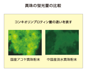 真珠の蛍光量の比較