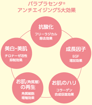 バラプラセンタ®アンチエイジング5大効果