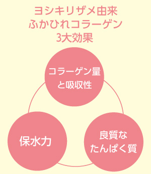ヨシキリザメ由来ふかひれコラーゲン3大効果